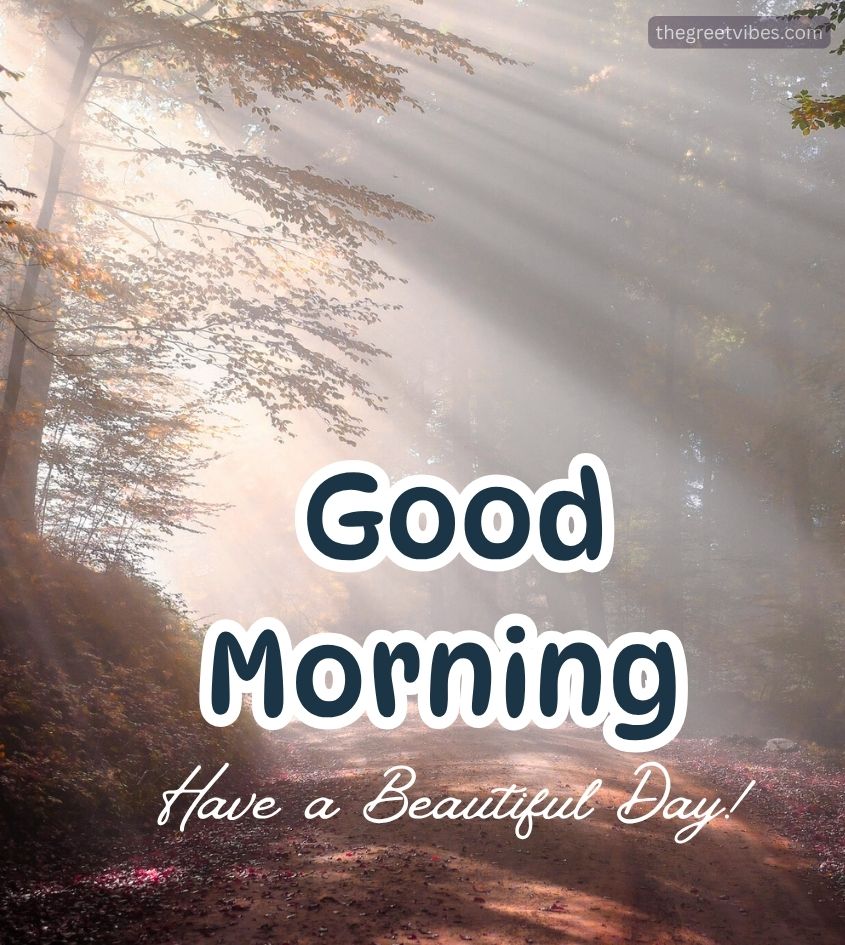 Good Morning Wishes in Nature background