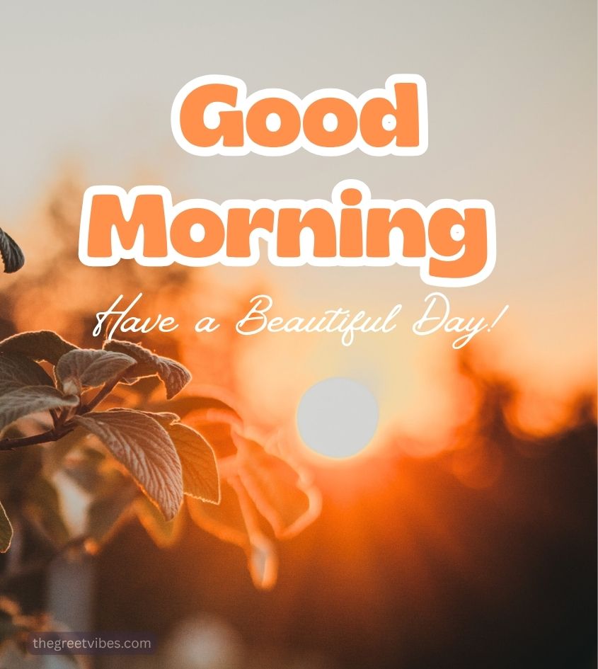 Sunrise Nature Good Morning Images