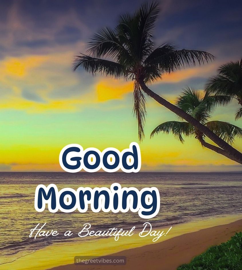 Good Morning Beach Nature Images