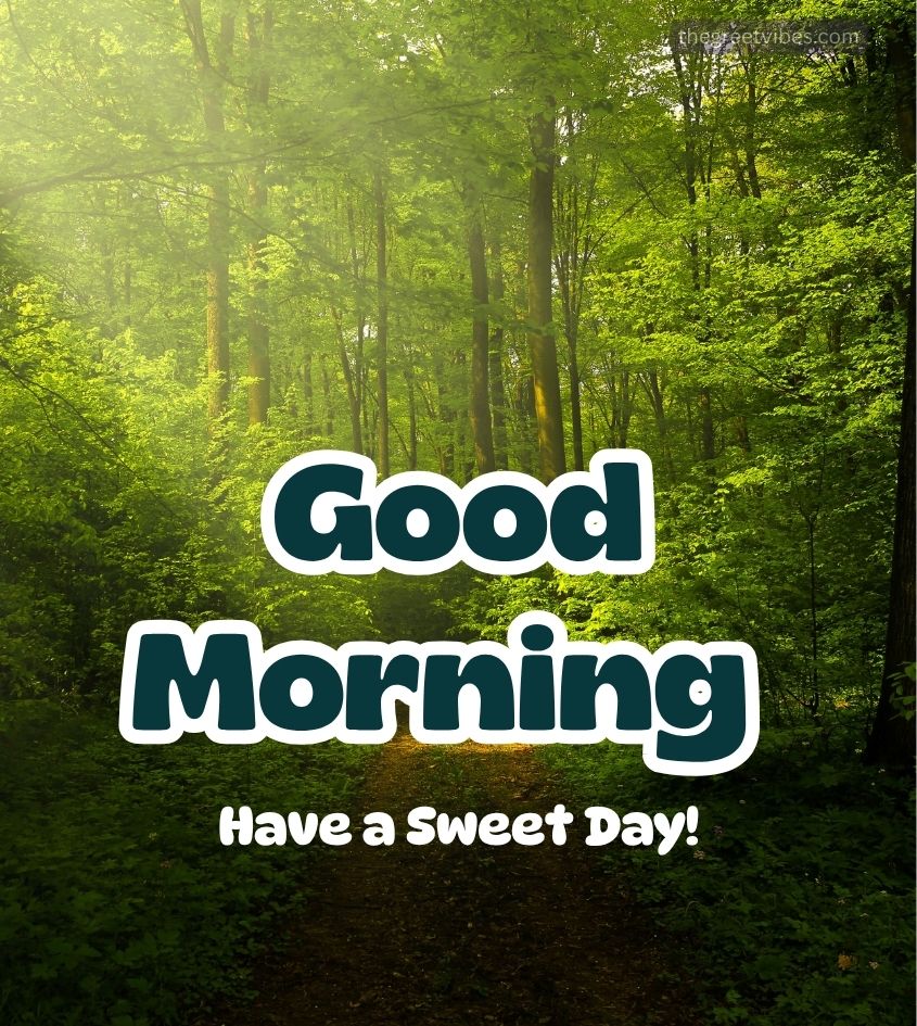 Good Morning Jungle Nature