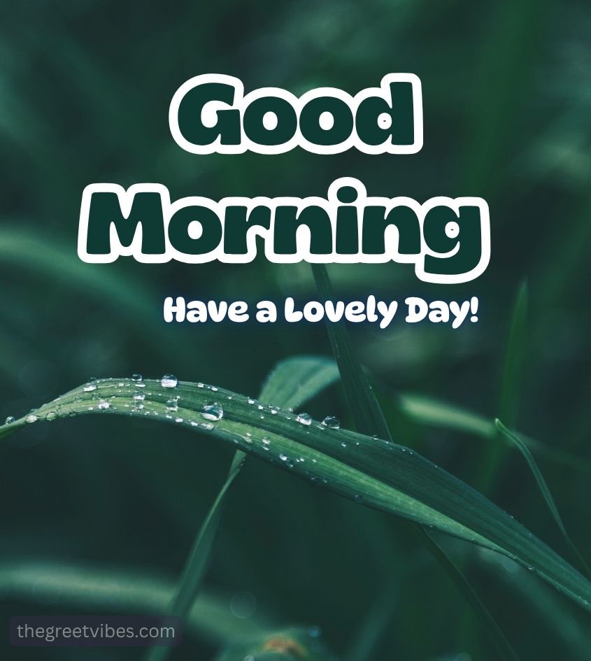 Good Morning Green Leaf Nature