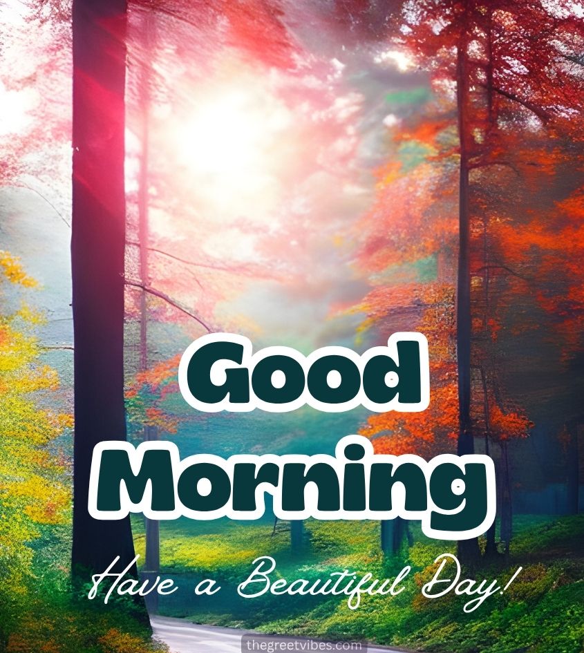Colorful Nature Good Morning Wishes Images