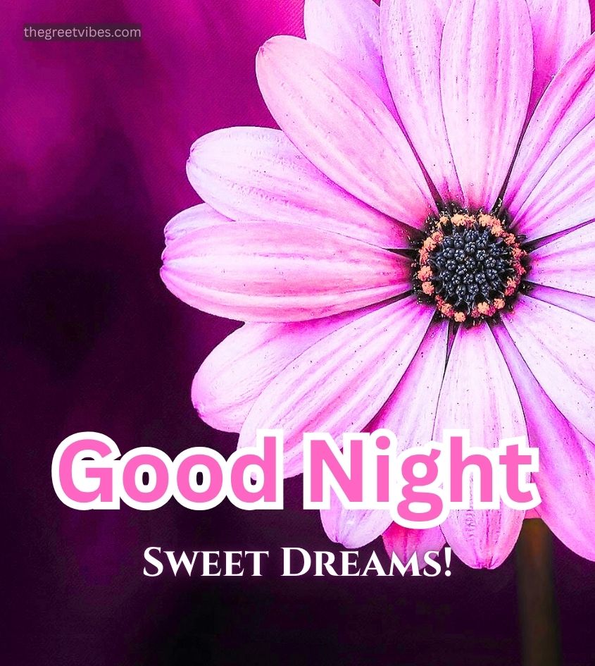 Good Night Flowers images for Status