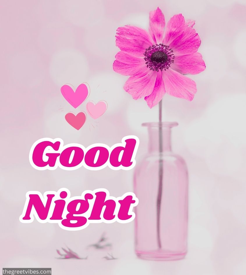 Good Night Pink Flowers images
