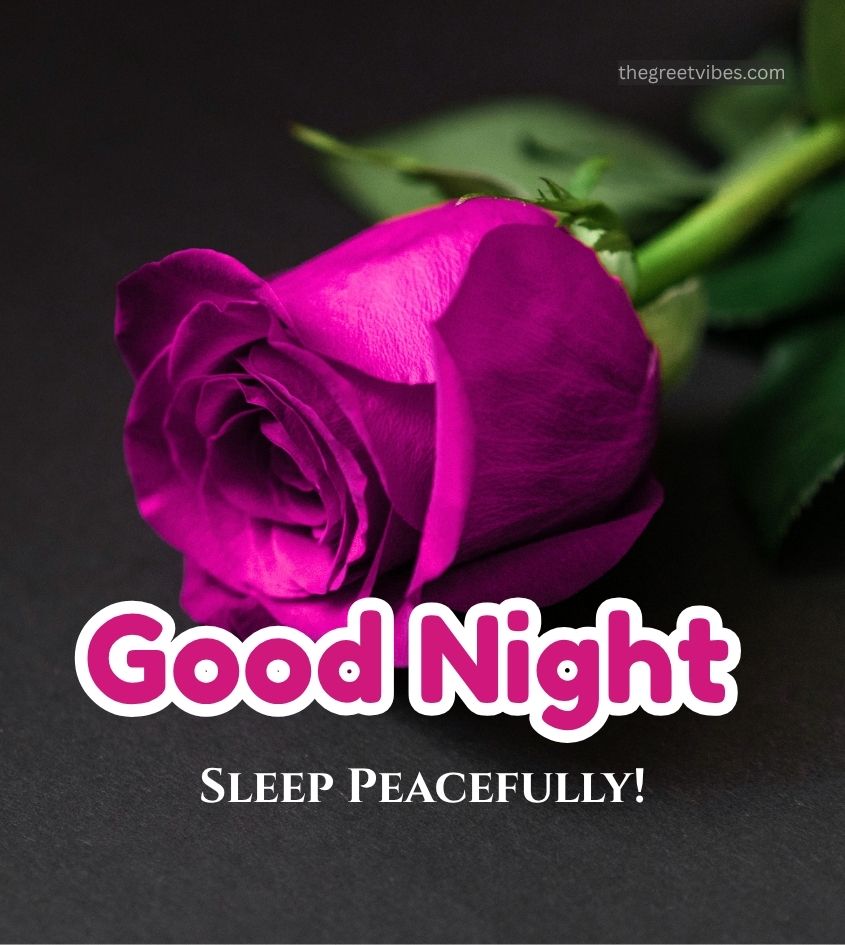 Good Night Pink Rose Flowers images for Status