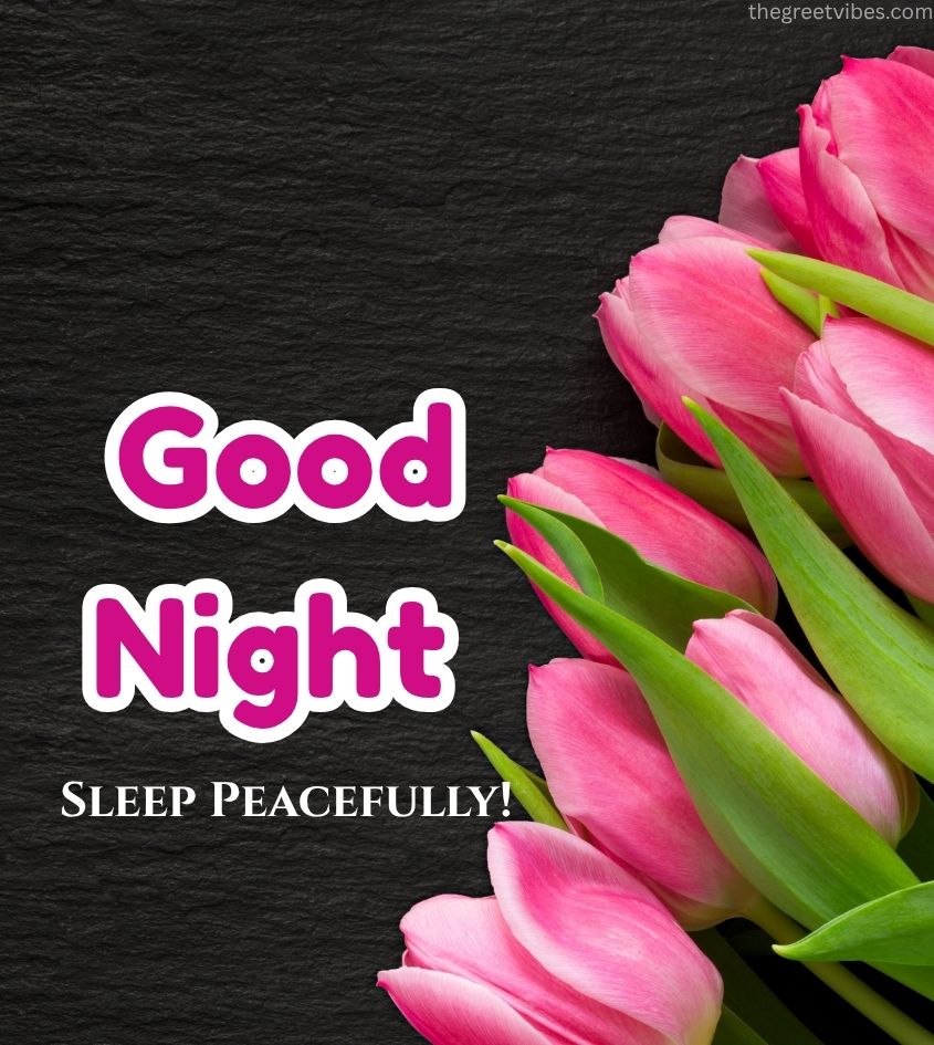 Good Night wishes with pink tulip flower