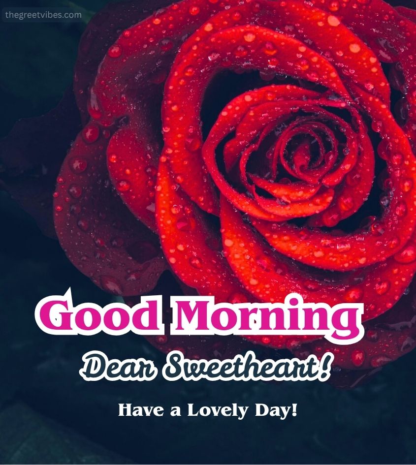 Roses with Good Morning Sweetheart Pics
