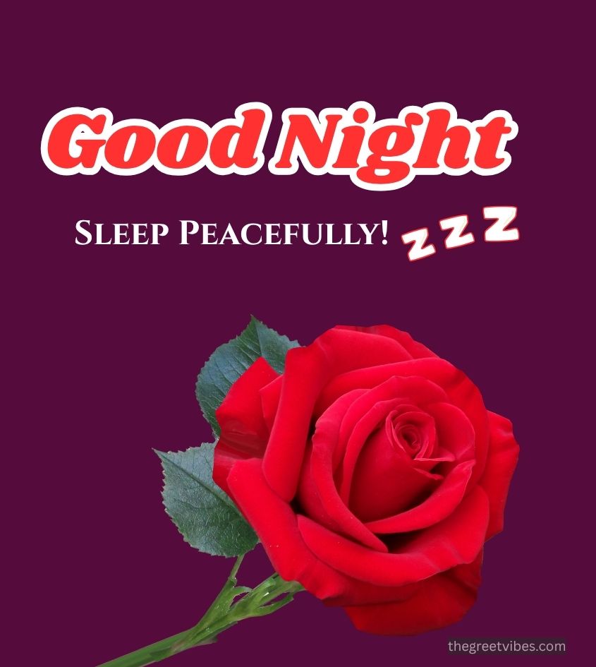 Good Night sleep peacefully wishes with roses flowers