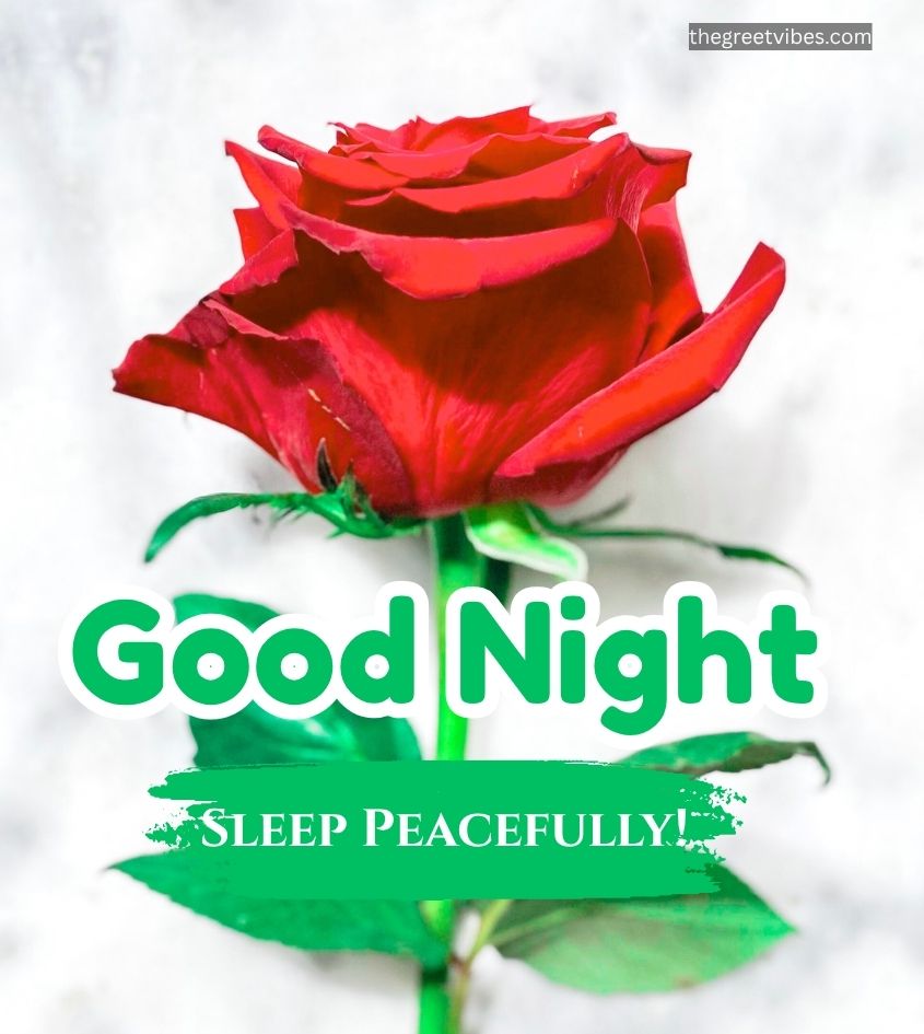 Good Night Roses with sleep peacefully message