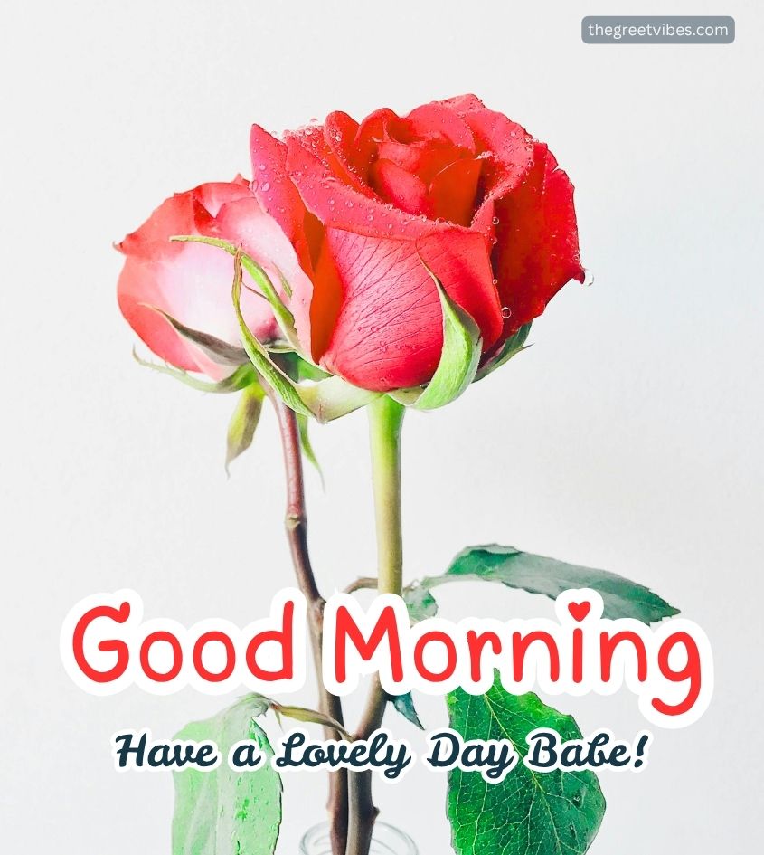 Good Morning Roses for sweetheart lover