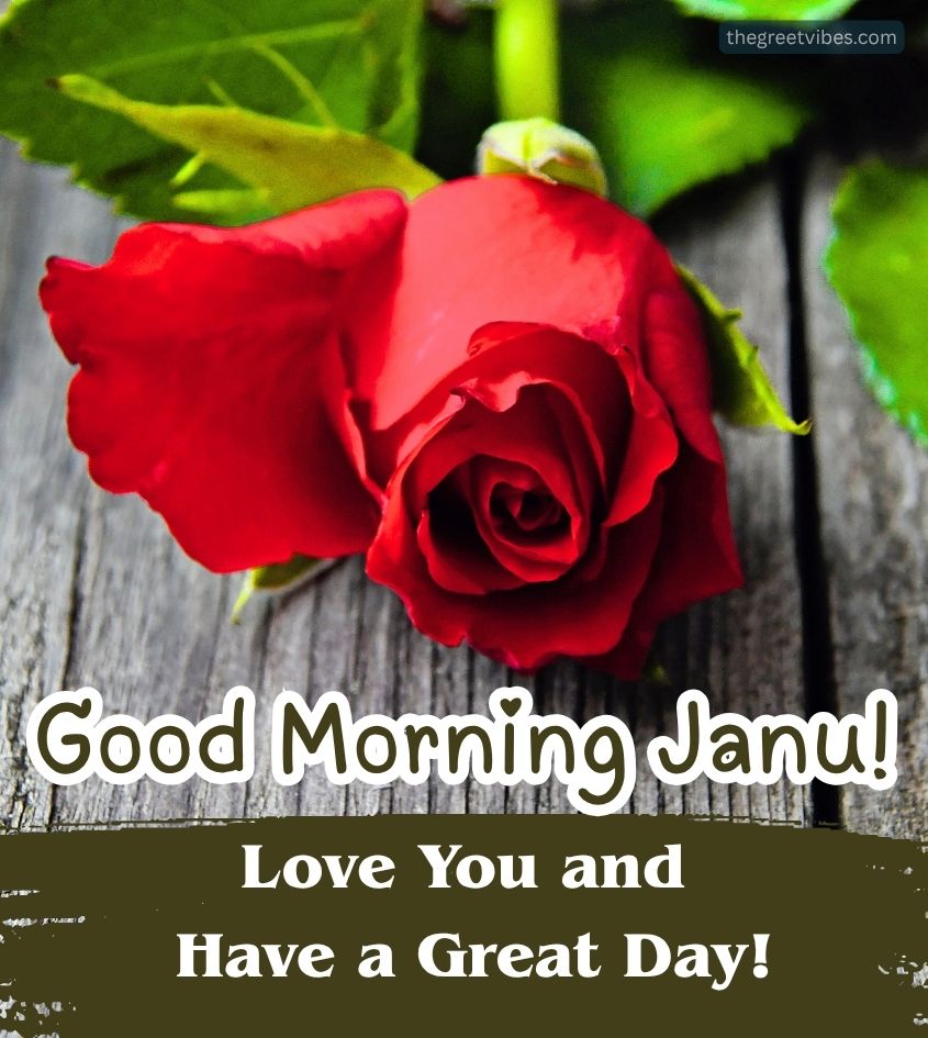 Good Morning Quotes with Rose for Janu Lover