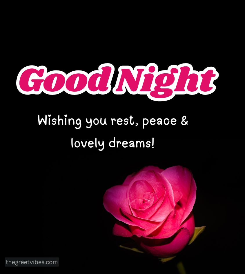 Red gulab phool with Good Night Wishes for Boyfriend