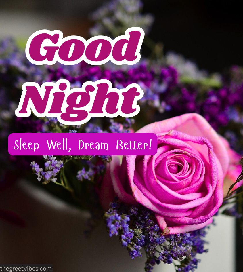 Good Night Pics with Roses