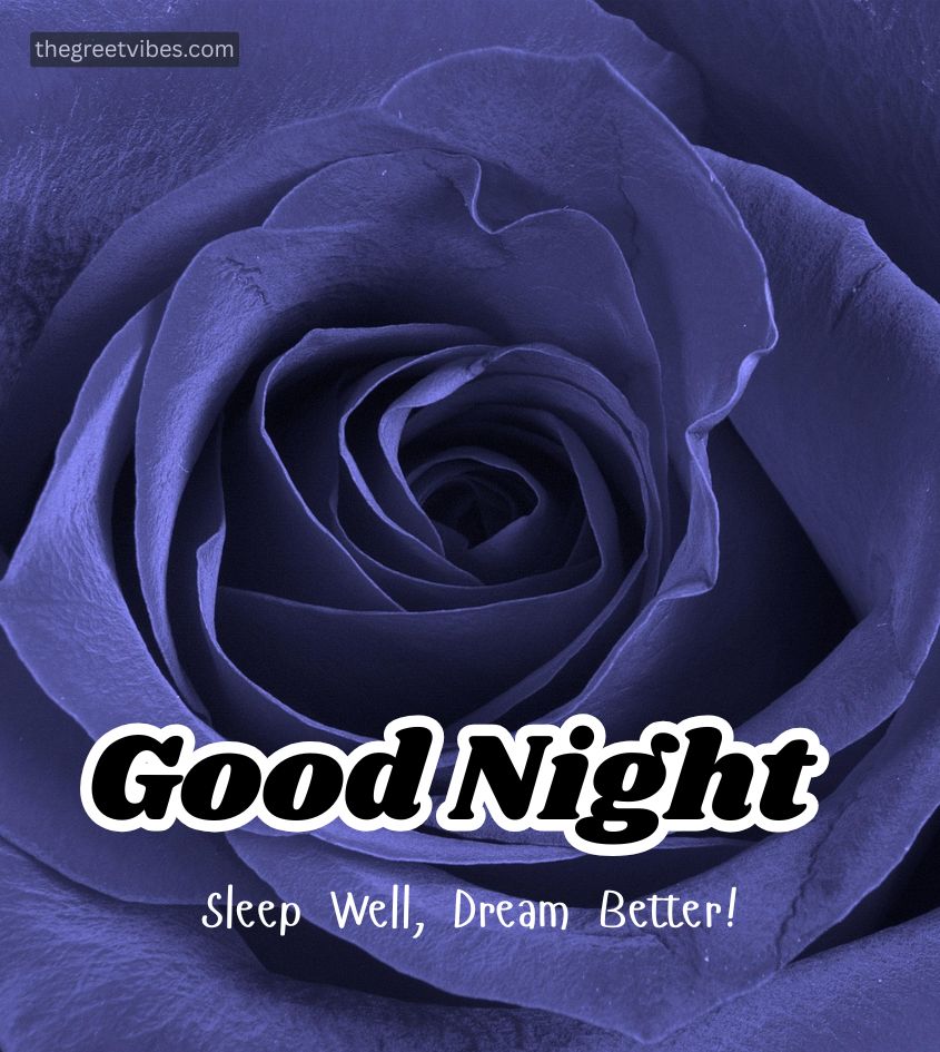 Good Night sweet Dreams Images with Rose