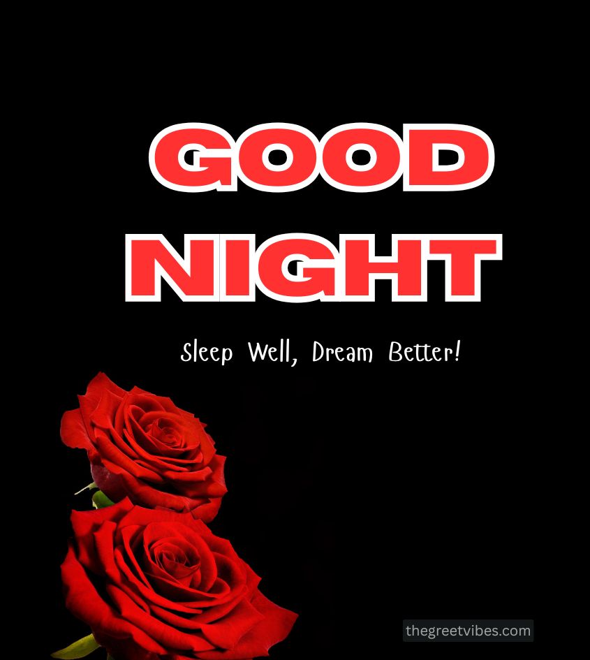 Good Night Red Rose Flower for Lover