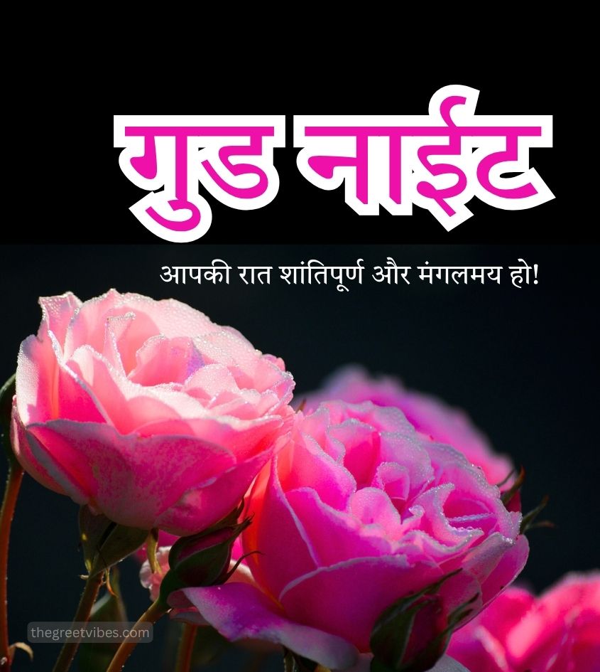 Shubh Ratri Good Night Images in hindi with Flower