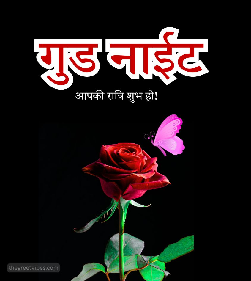 Shubh Ratri greetings in Hindi with Rose