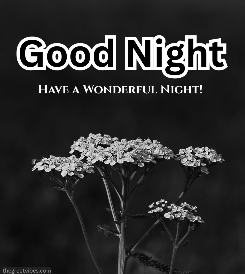 Good Night flowers images in black theme