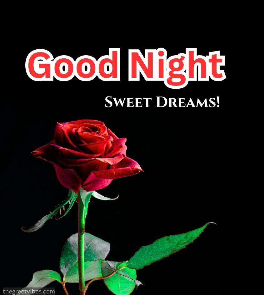 Good Night Sweet Dreams Images With Rose Flower