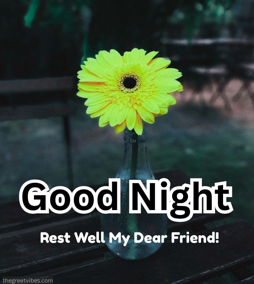 Good Night flowers Pics