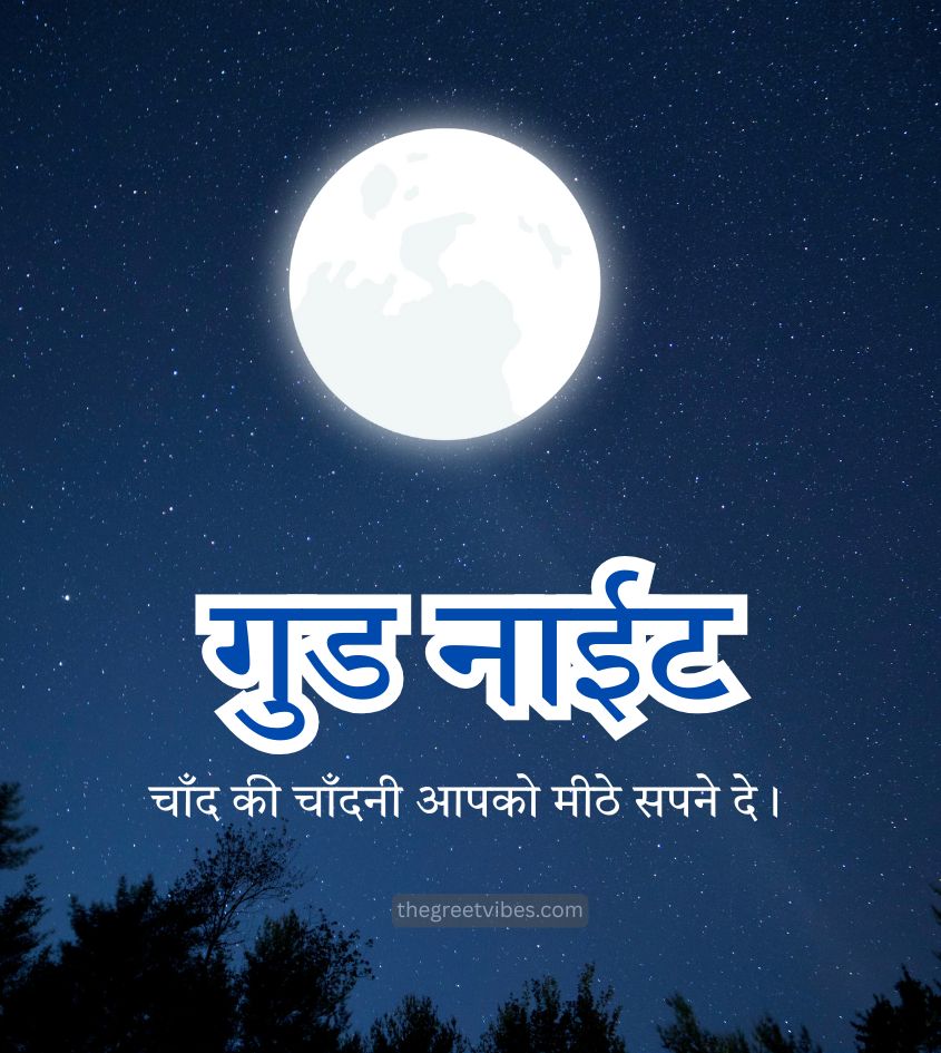 Hindi Good Night Images with Shining Full Moon
