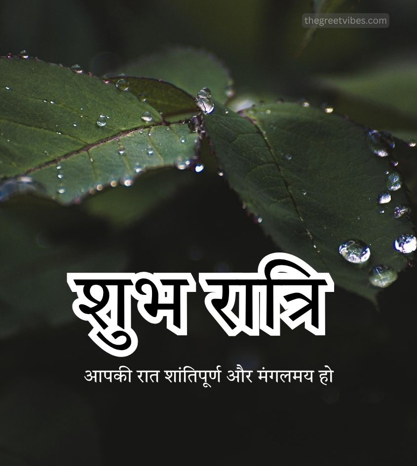 Good Night Hindi Images