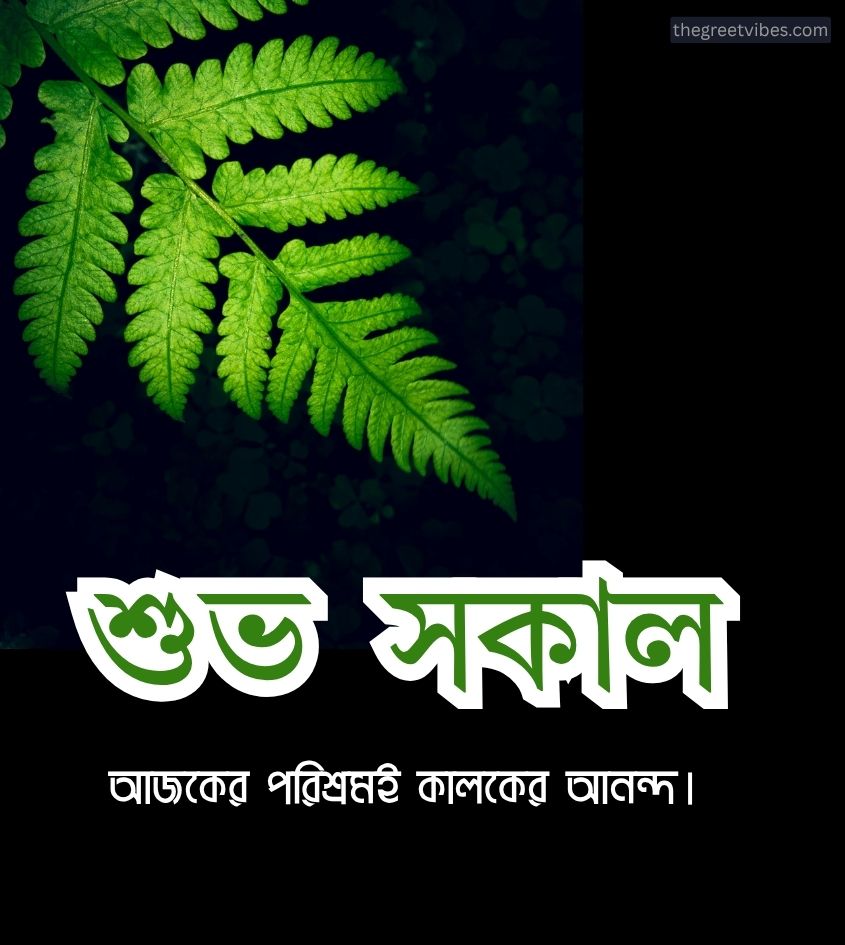 Good morning Pics in bengali with quotes