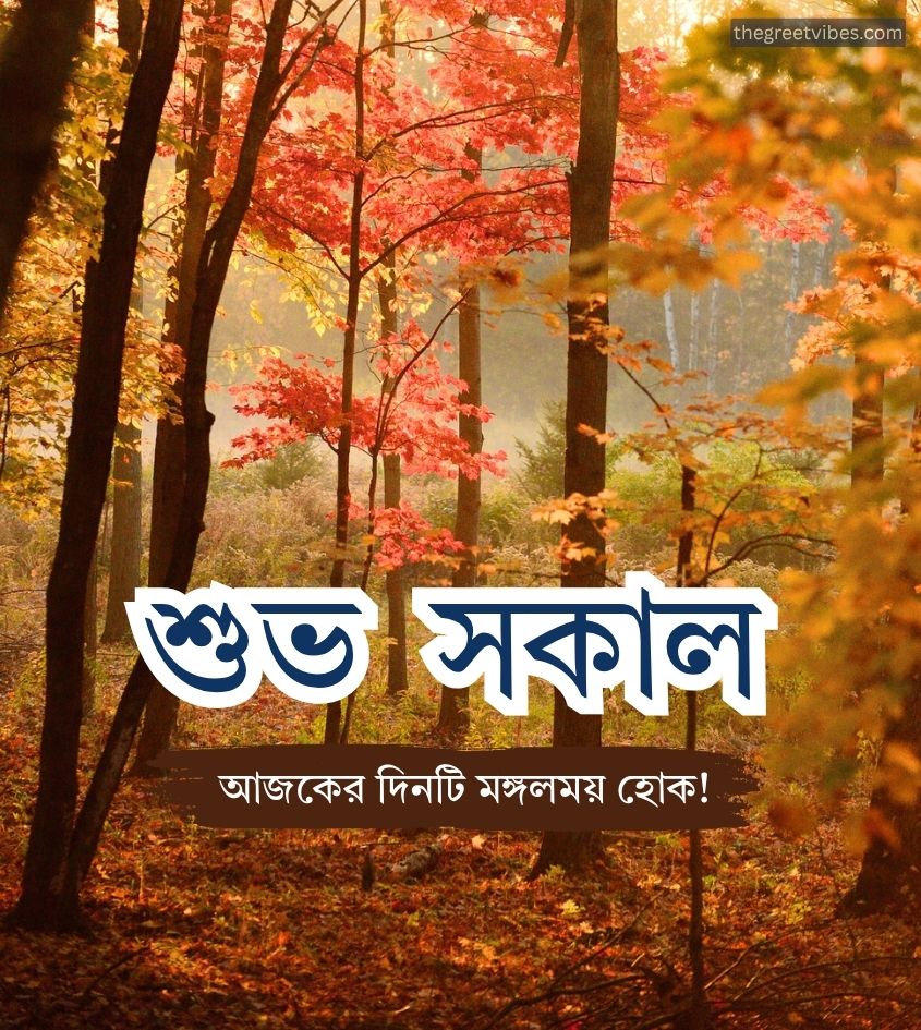 shub sokal wishes with nature background