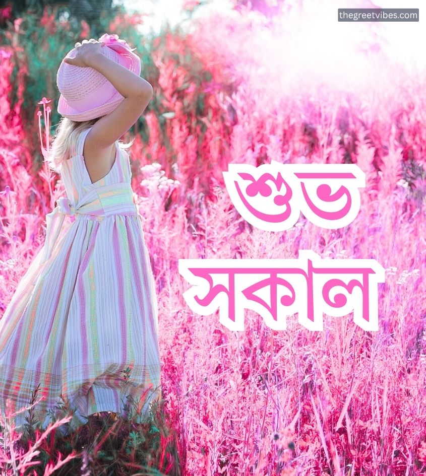 Subho sokal status