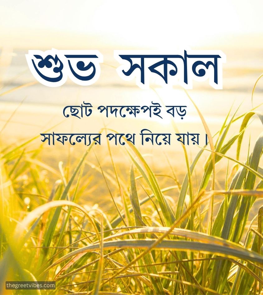 Good morning Quotes bengali