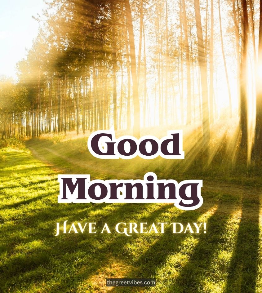 Good Morning Nature Sunrise Images