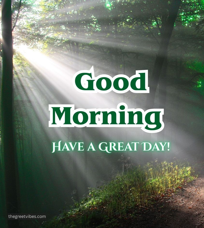 Nature Good Morning Sunrise Images