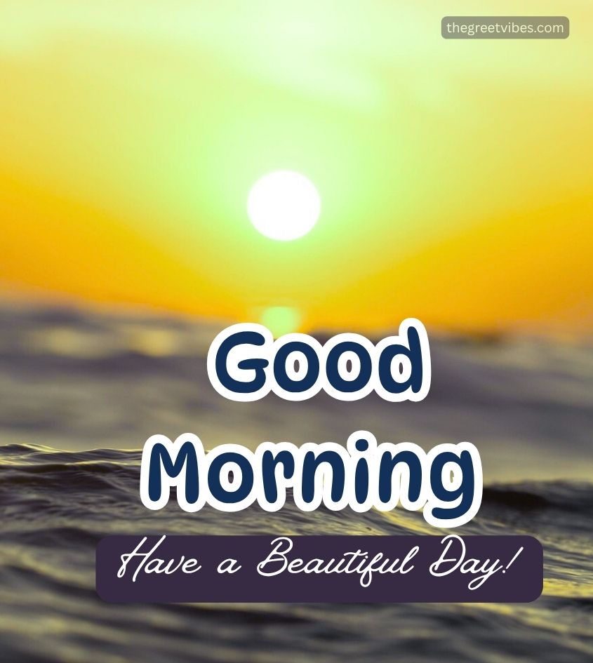 Sunrise Nature Good Morning Pics