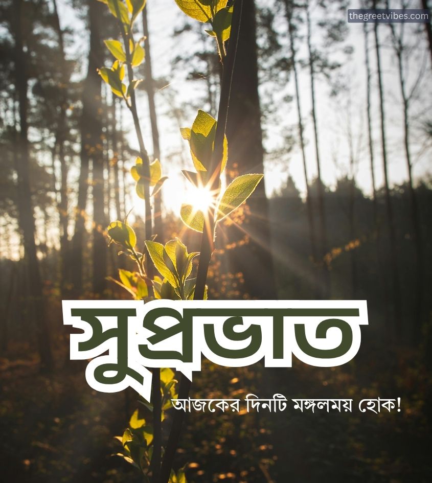 Bengali suprabhat Pics