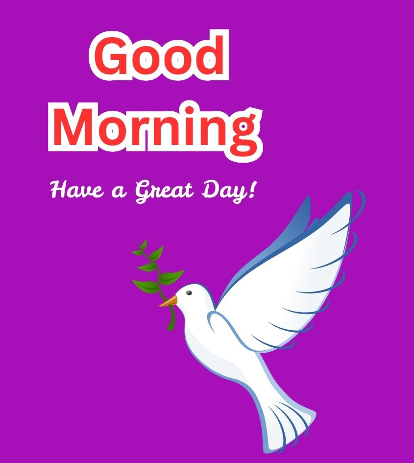 Good Morning Greetings