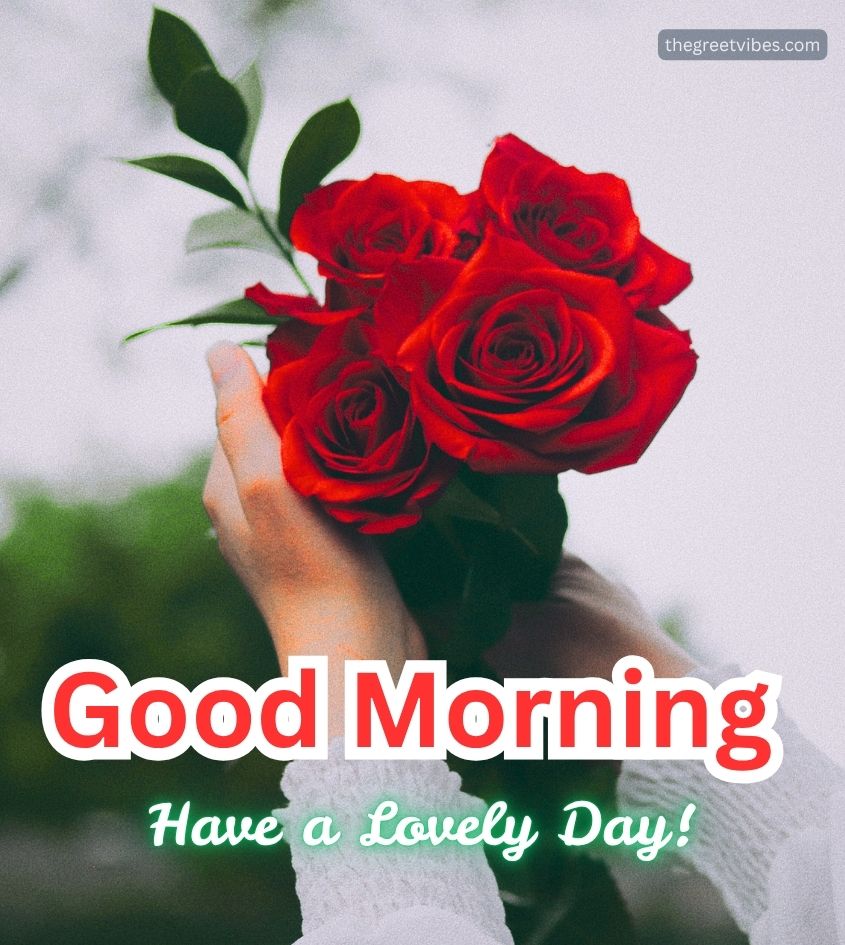 Good Morning Sweetheart Greetings Images with Flowers Rose