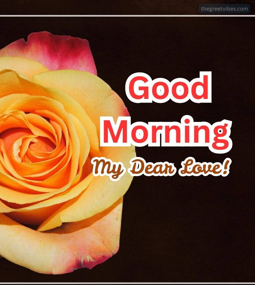 Good Morning Wishes