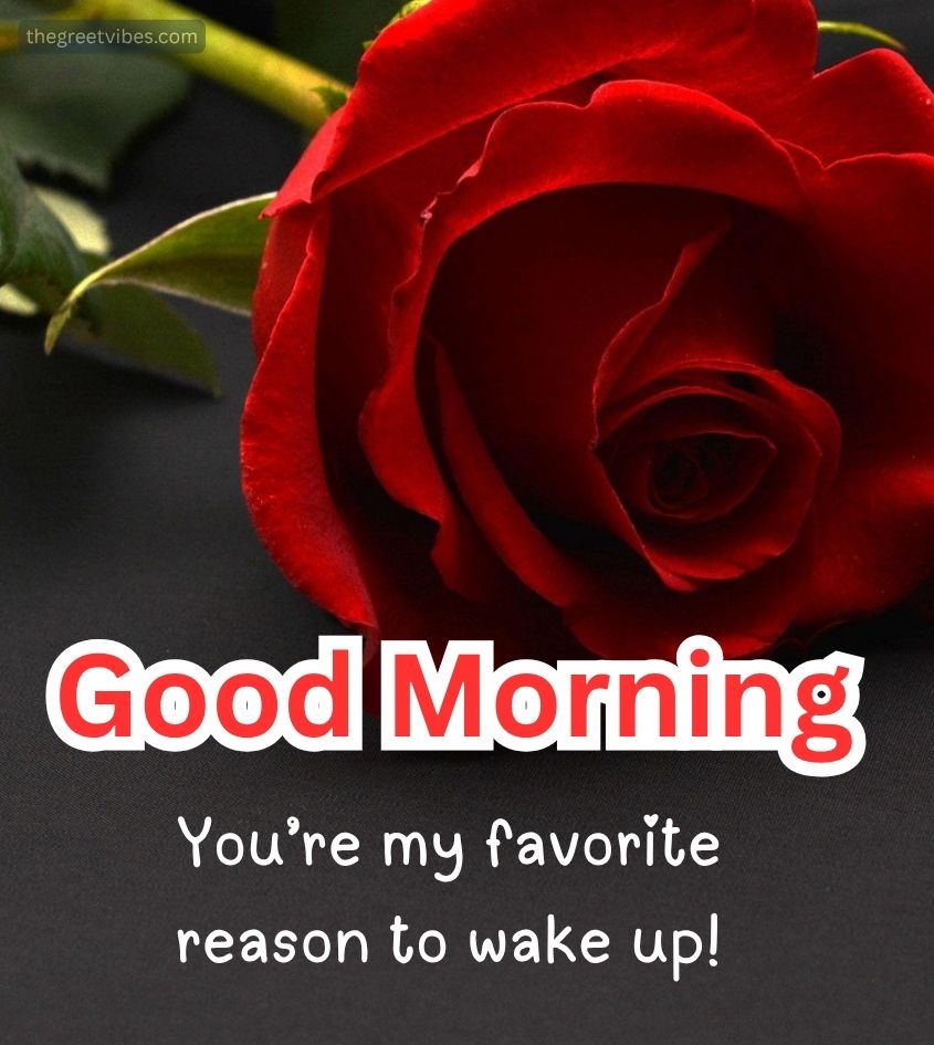 Sweetheart Good Morning Greetings with Rose