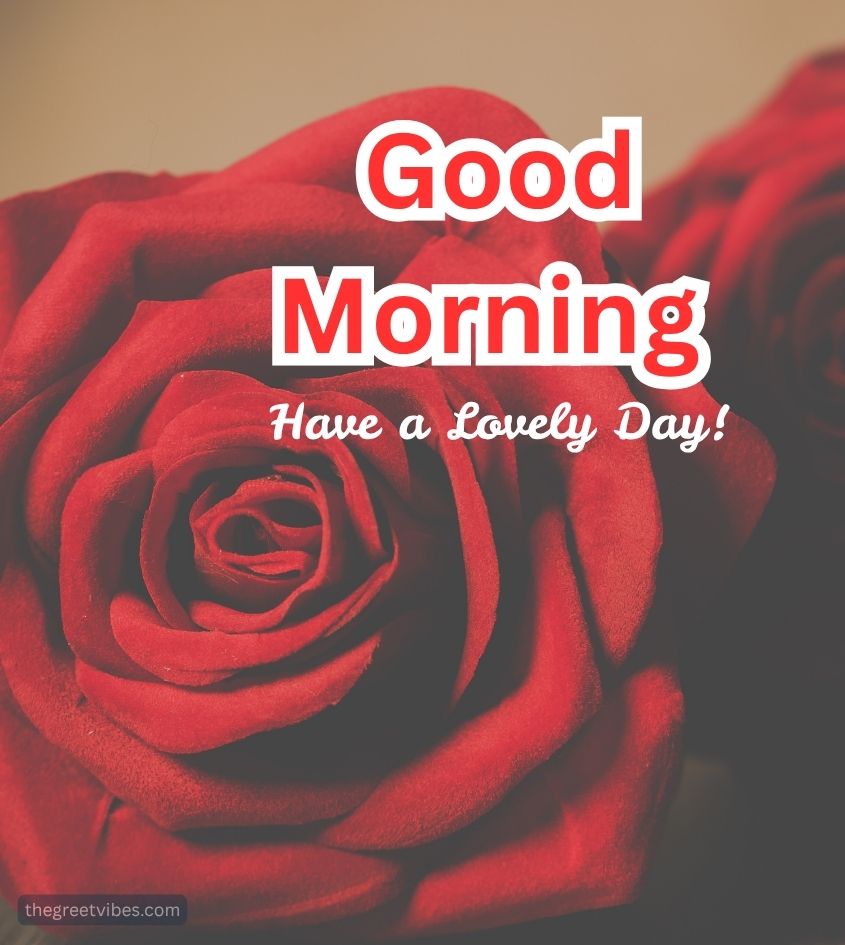 Good Morning Roses for sweetheart