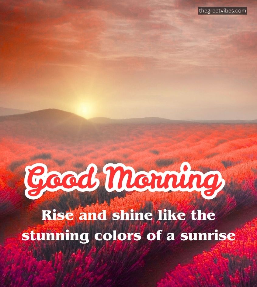 Good Morning Vibrant Sunrise Images