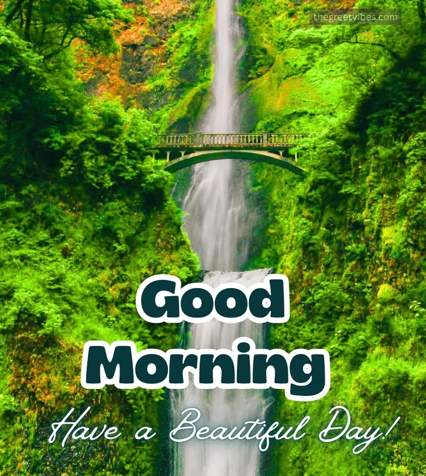 Good Morning Nature Scenery Waterfall
