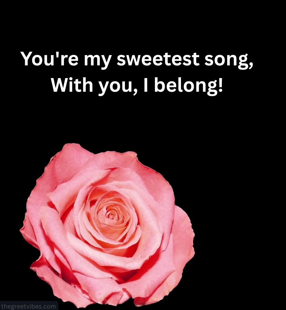 2 line English Shayari Images for Status
