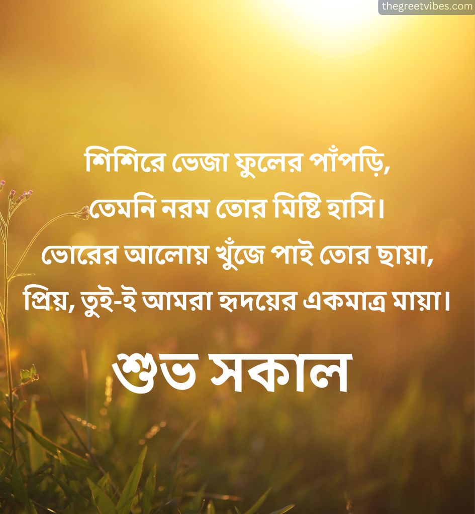 Subho Sokal Shayari In Bengali