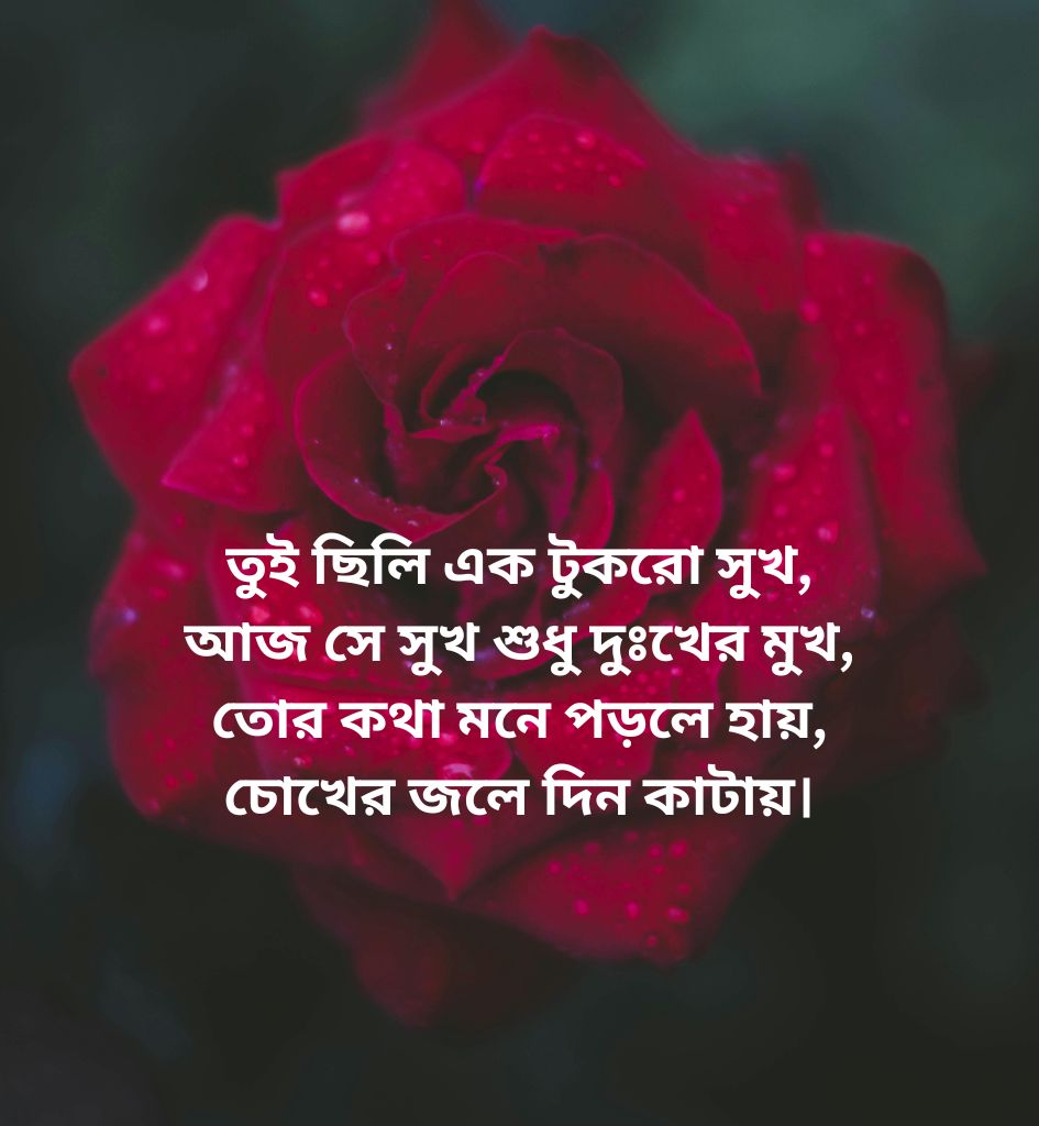 Breakup Shayari for Status In Bengali Language