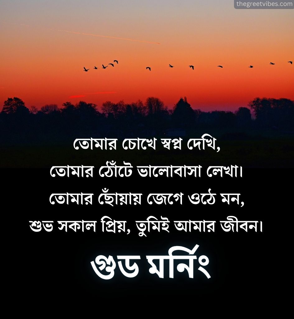 Good morning Shayari Images in Bengali Language