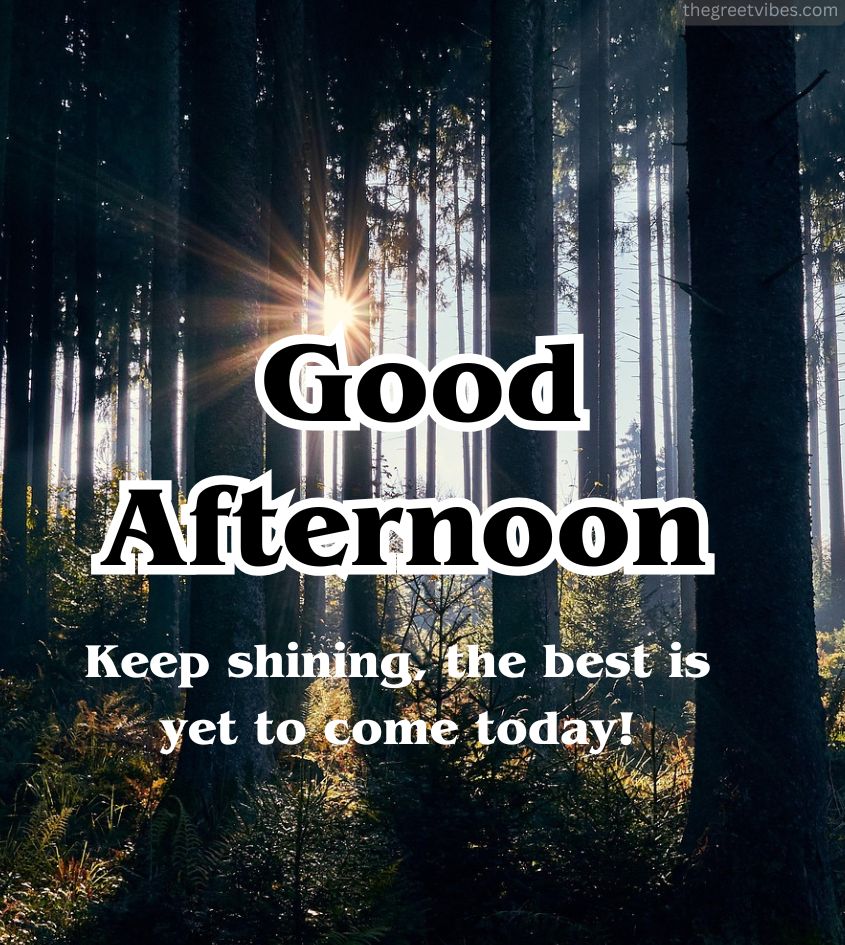Good Afternoon Greetings Images for Whatsapp