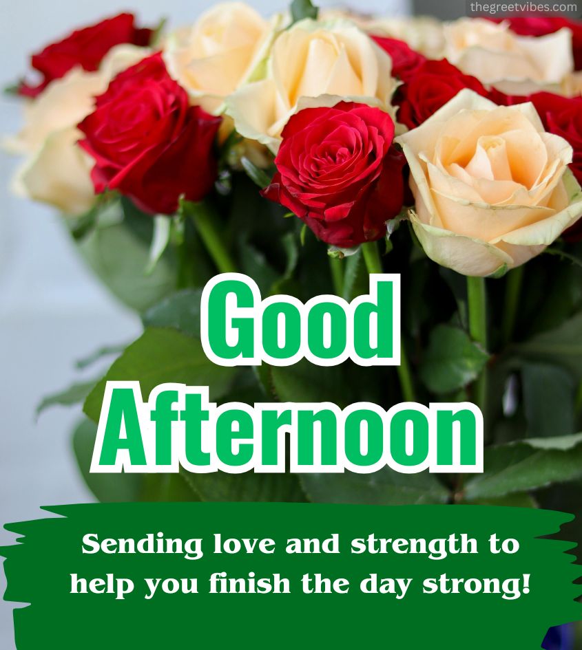 Good Afternoon Pics With Roses Flowers