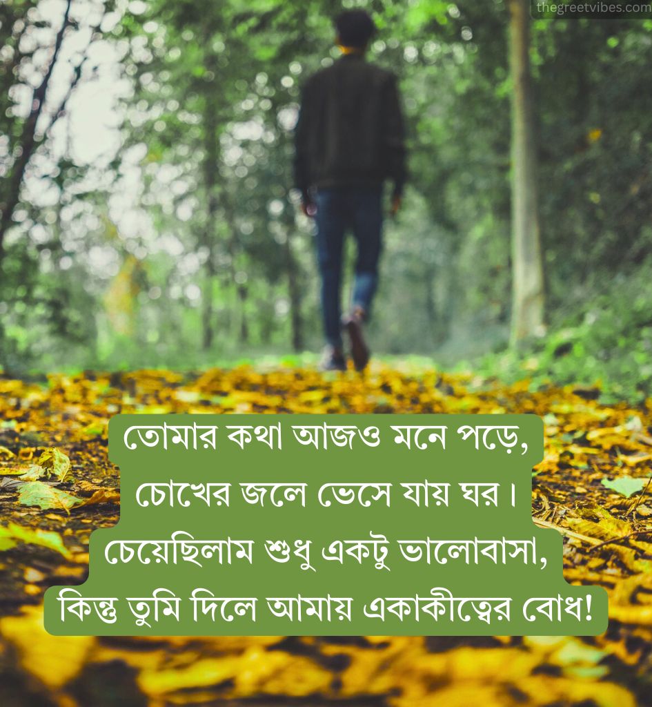Bengali Breakup Shayari for Sad Lover
