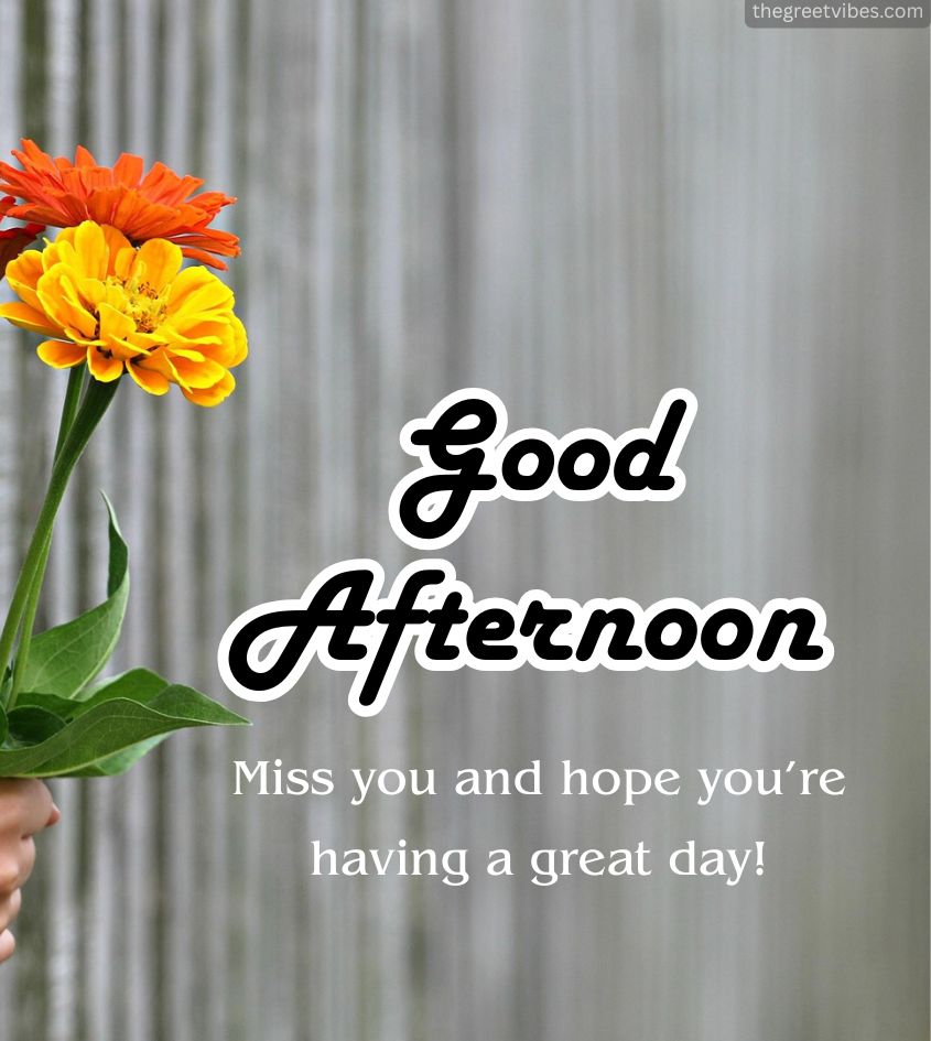 Good Afternoon Images with flowers to greet your loved ones