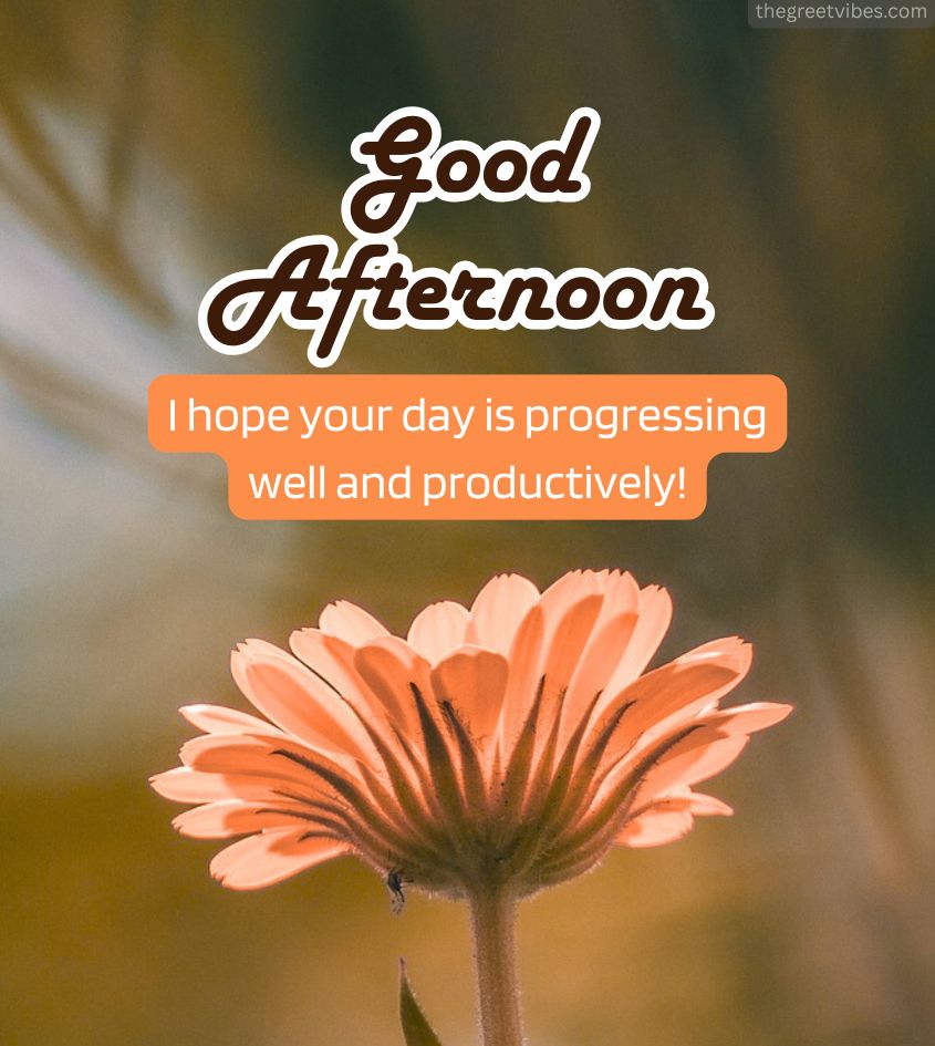 Good Afternoon Flowers Images